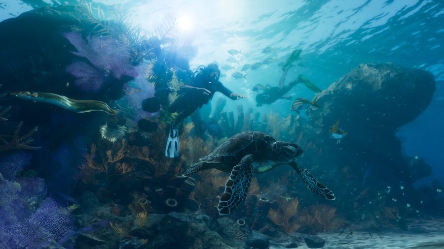 A diver swimming above a coral reef with a sea turtle