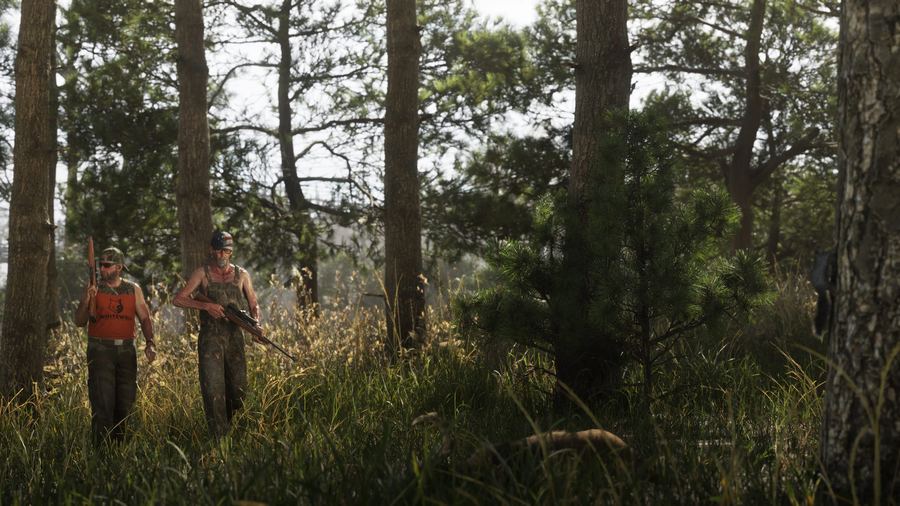 Two hunters walking through tall pine forest