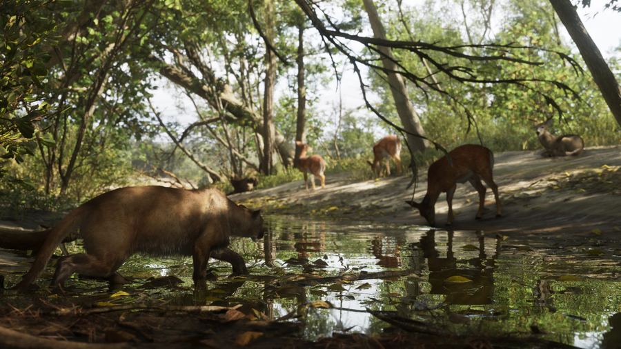 Deer drinking at a shaded riverbank